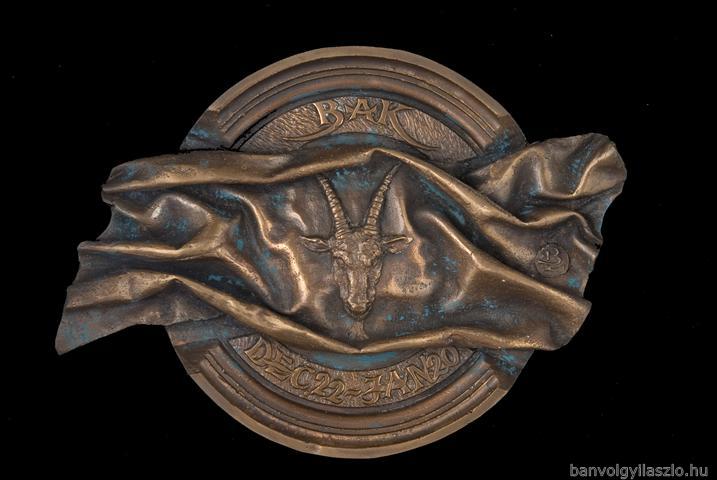 Capricorn aquarius bronze plaque