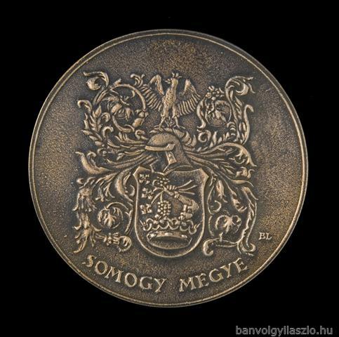 Somogy county coat of arms bronze medal